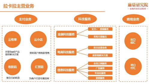 拉卡拉的信息系統(tǒng)集成服務(wù) 如何實現(xiàn)無縫協(xié)同與高效運營