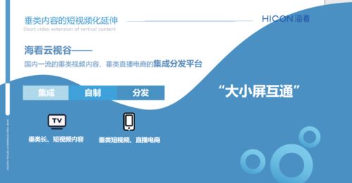 三晉論道，共話未來 ?？垂煞菰S璐璐談精品垂類內容產業化與河北網站開發的協同發展